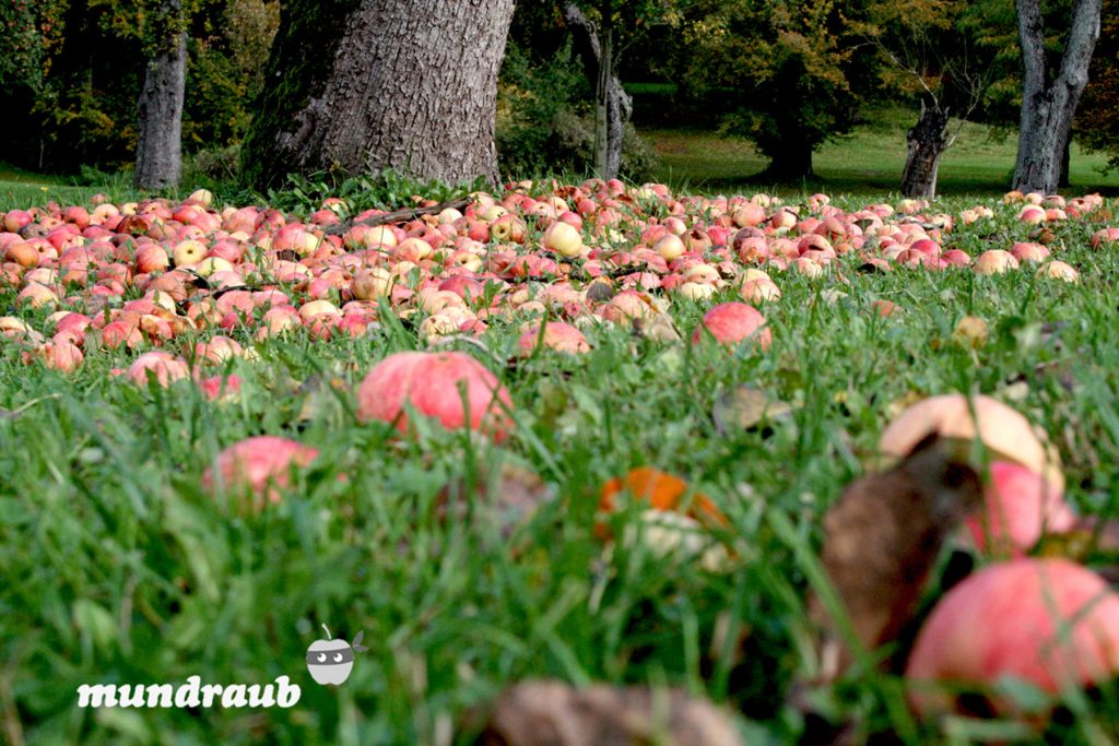 Das Ziel hinter Mundraub ist weniger Obst verderben zu lassen. Bildquelle: mundraub.org