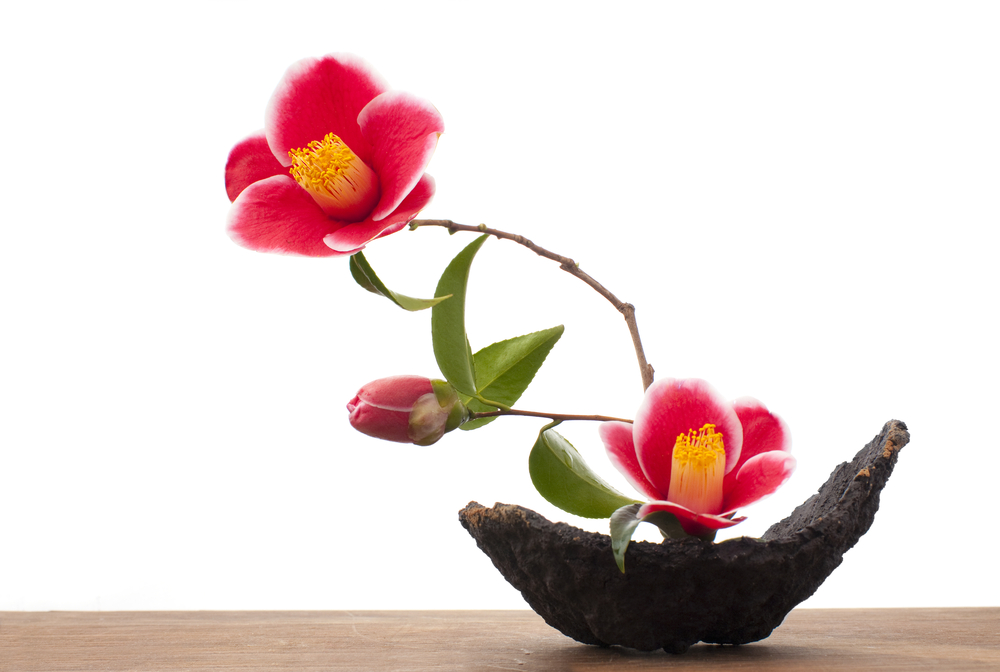 Ikebana – so nennt man die japanische Kunst des Blumen arrangierens. Bildquelle: shutterstock.com