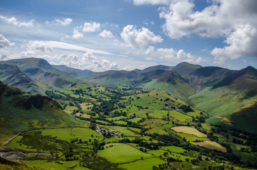 Die Klimaerwärmung ermöglicht den Weinbau mittlerweile selbst in den Hügeln von England und Wales. Bildquelle: pixabay.de