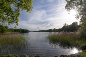 Wo Hase und Igel sich gute Nacht sagen - die Uckermark. Bildquelle: shutterstock.com