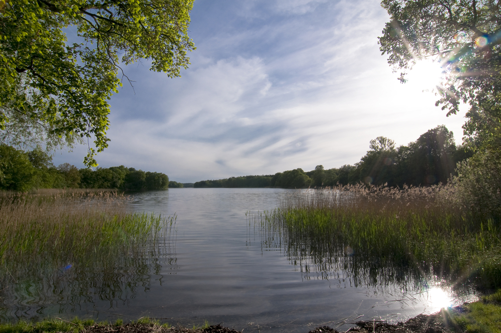 Wo Hase und Igel sich Gute Nacht sagen - die Uckermark. Bildquelle: shutterstock.com