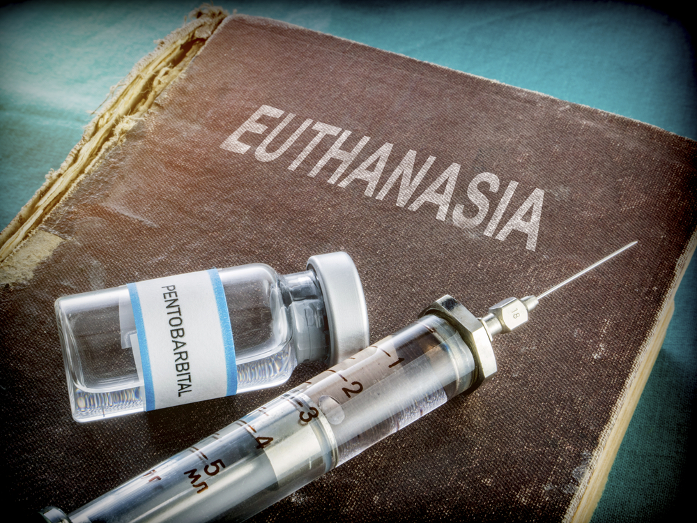 Die Sterbehilfe ist vor allem i Deutschland immer noch ein sehr umstrittenes Thema. Bildquelle: shutterstock.com