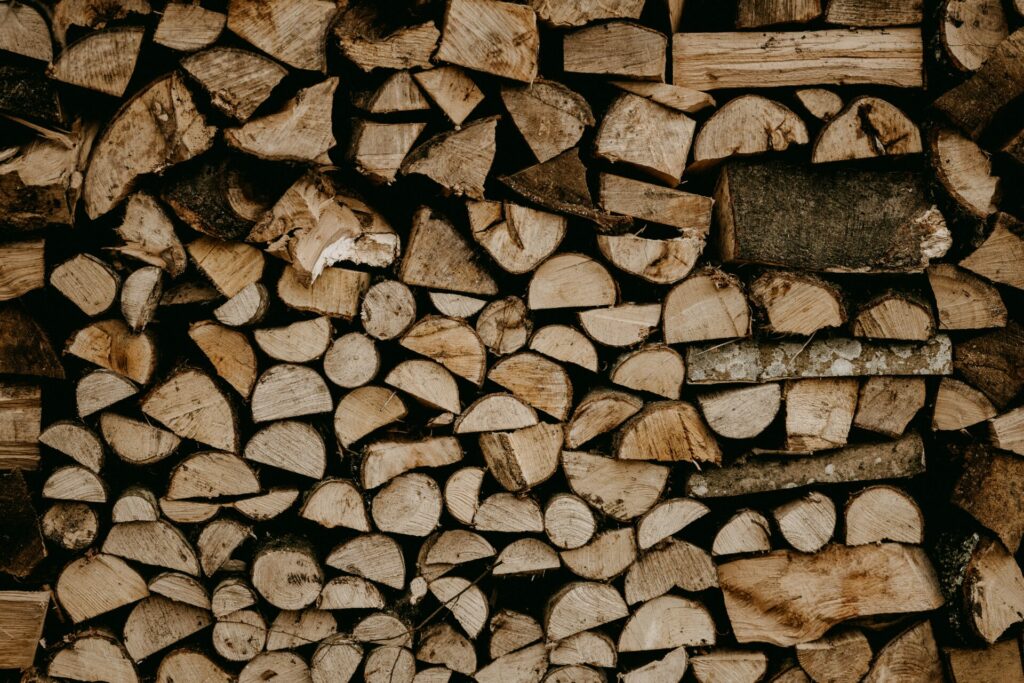 Vor allem die Birke ist ein sehr beliebtes Brennholz, vor allem wegen seiner langen Brenndauer. Bildquelle: © Annie Spratt / Unsplash.com