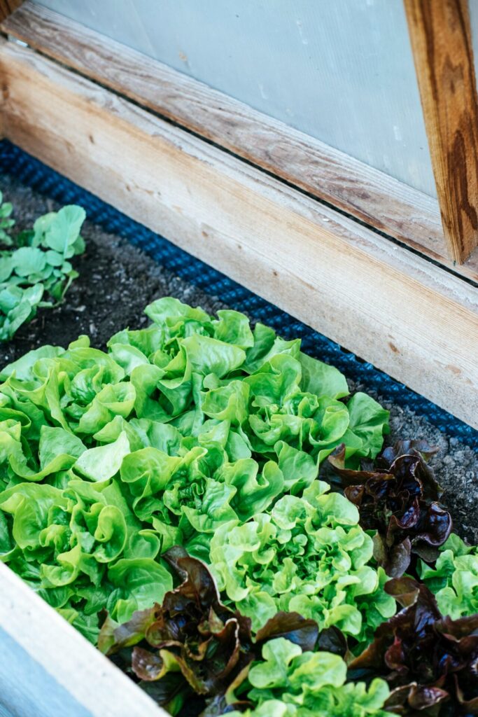 Wenn das Bücken nicht mehr so leicht fällt, dann ist es zeit für ein Hochbeet - egal ob im eigenen Garten oder auf dem Balkon. Bildquelle: © Markus Spiske / Unsplash.com