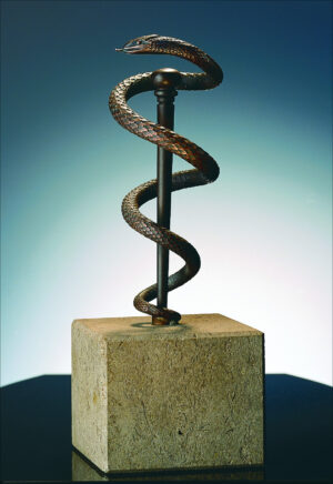 Äskulapnatter. Museumsreplikat.