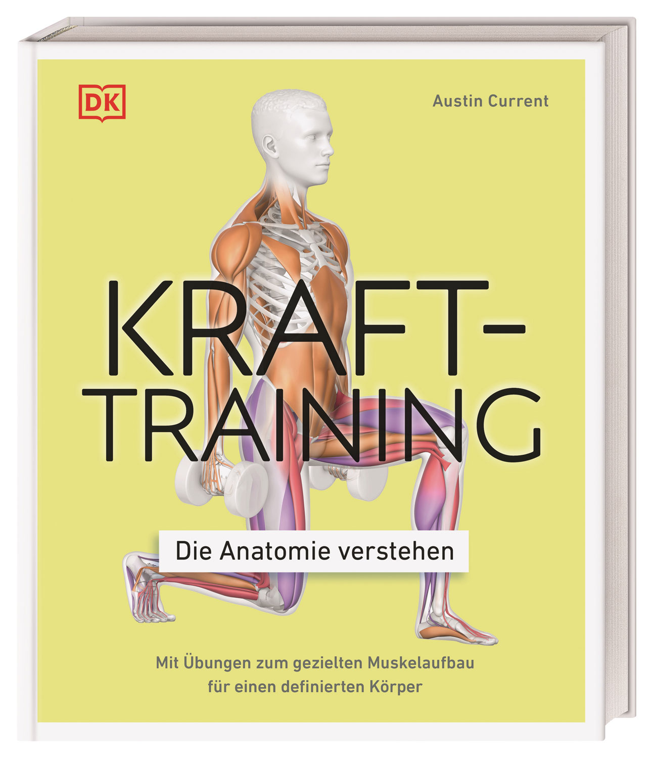 Krafttraining. Die Anatomie verstehen!