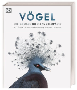 Vögel.