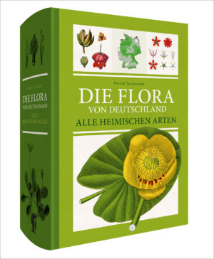 Dr. Oliver Tackenberg: Die Flora von Deutschland.