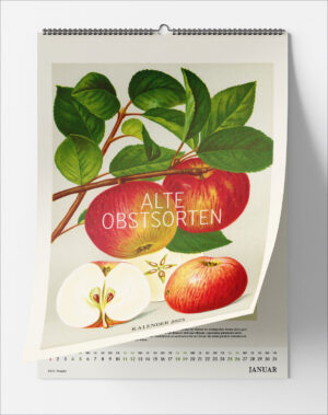 Alte Obstsorten. Wandkalender 2025.