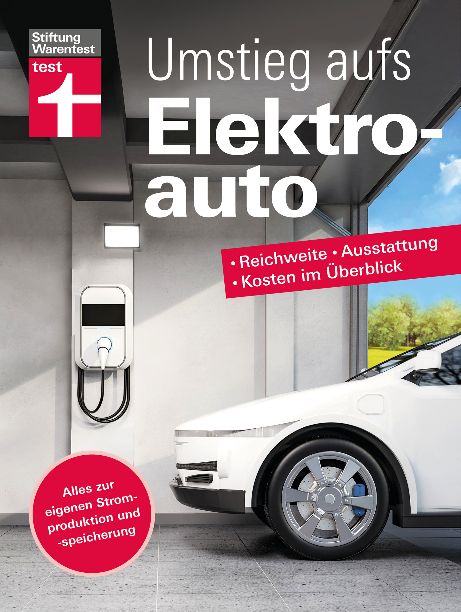 Umstieg aufs Elektroauto.