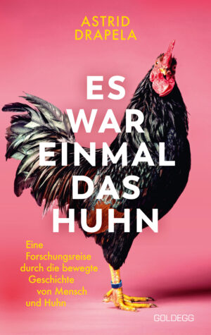 Es war einmal das Huhn.