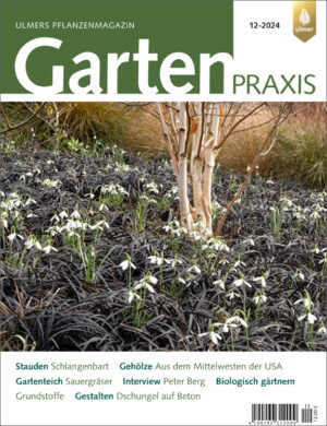 Garten-Praxis. Zeitschrift. Kennenlern-Abo