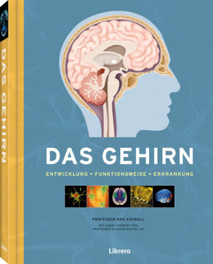 Prof. Kenneth Ashwell: Das Gehirn.